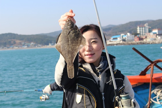 선상활어회 이미지