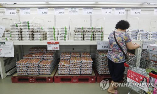 파동마트 이미지